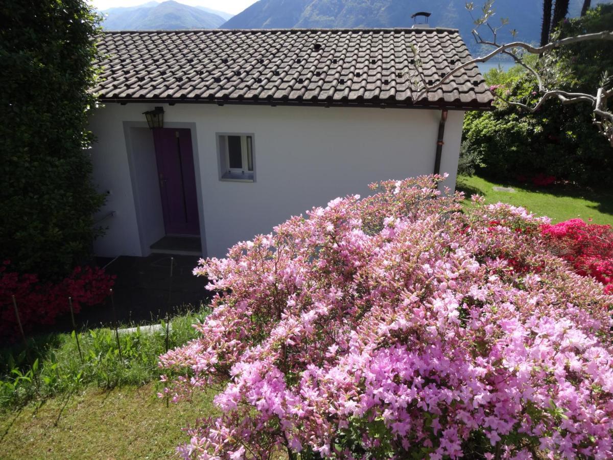 Residenza Paradiso Di Vacanze Minusio Exterior photo